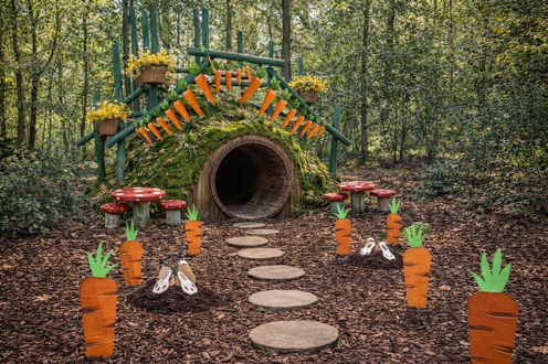 Belfry Carrot Patch