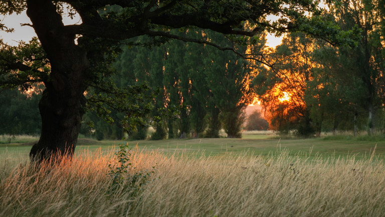 Belfry Golf Course July26 Amy Murrell 45